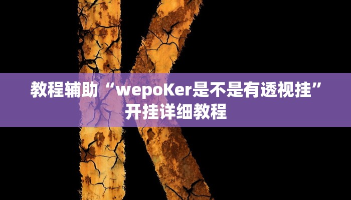 辅助教程“德扑之星app透视挂(作弊)辅助透视教程”