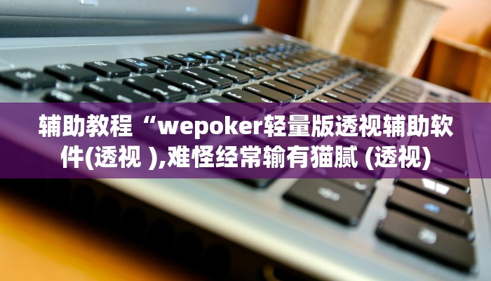 辅助教程“wepoker轻量版透视辅助软件(透视 ),难怪经常输有猫腻 (透视)