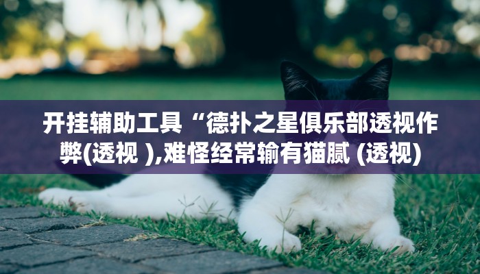 开挂辅助工具“德扑之星俱乐部透视作弊(透视 ),难怪经常输有猫腻 (透视)