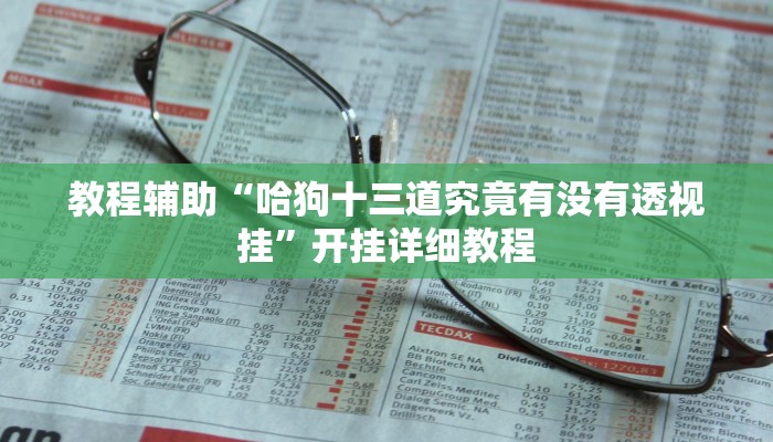 教程辅助“哈狗十三道究竟有没有透视挂”开挂详细教程