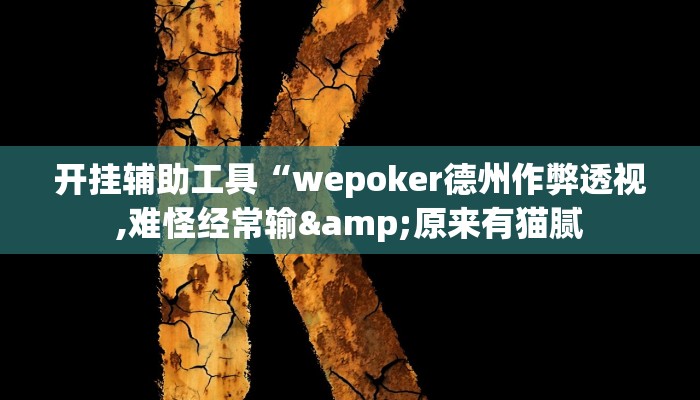 开挂辅助工具“wepoker德州作弊透视,难怪经常输&原来有猫腻