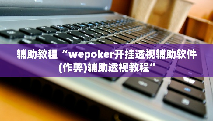 辅助教程“wepoker开挂透视辅助软件(作弊)辅助透视教程”
