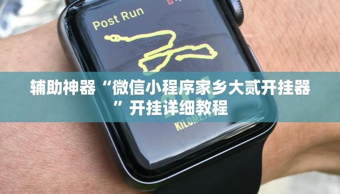 辅助神器“微信小程序家乡大贰开挂器”开挂详细教程