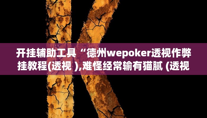 开挂辅助工具“德州wepoker透视作弊挂教程(透视 ),难怪经常输有猫腻 (透视)