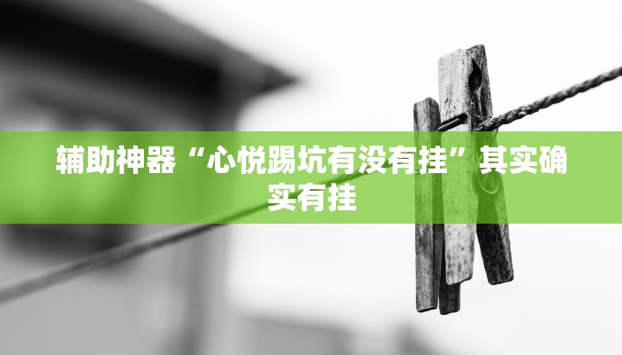 辅助神器“心悦踢坑有没有挂”其实确实有挂