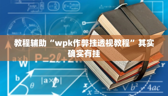 教程辅助“wpk作弊挂透视教程”其实确实有挂