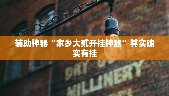 辅助神器“家乡大贰开挂神器”其实确实有挂