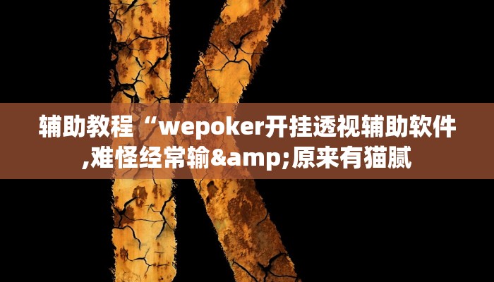 辅助教程“wepoker开挂透视辅助软件,难怪经常输&原来有猫腻