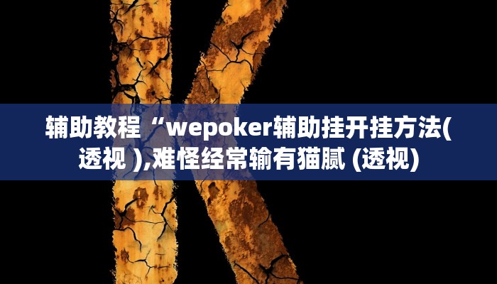 辅助教程“wepoker辅助挂开挂方法(透视 ),难怪经常输有猫腻 (透视)
