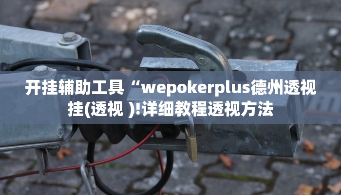 开挂辅助工具“wepokerplus德州透视挂(透视 )!详细教程透视方法