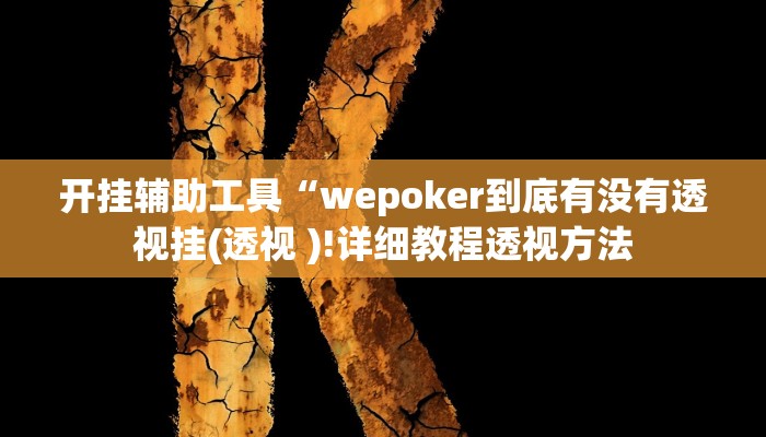 开挂辅助工具“wepoker到底有没有透视挂(透视 )!详细教程透视方法