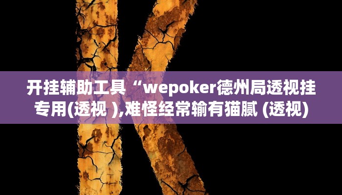 开挂辅助工具“wepoker德州局透视挂专用(透视 ),难怪经常输有猫腻 (透视)