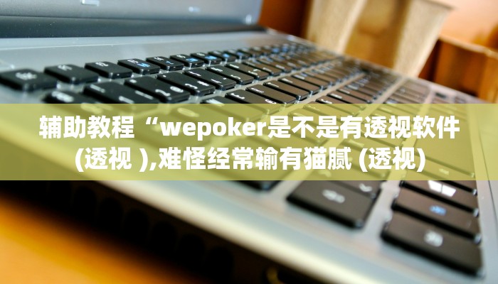 辅助教程“wepoker是不是有透视软件(透视 ),难怪经常输有猫腻 (透视)
