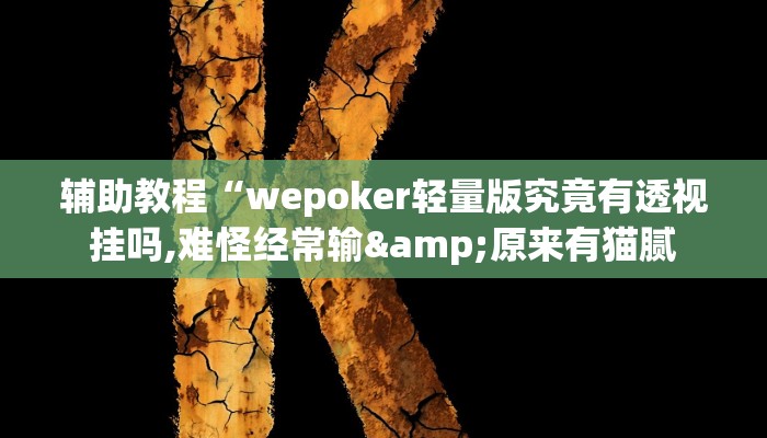 辅助教程“wepoker轻量版究竟有透视挂吗,难怪经常输&原来有猫腻