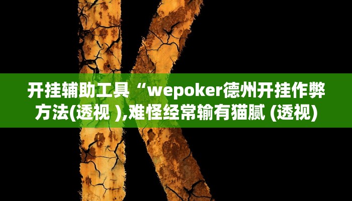 开挂辅助工具“wepoker德州开挂作弊方法(透视 ),难怪经常输有猫腻 (透视)
