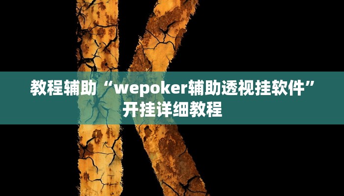 教程辅助“wepoker辅助透视挂软件”开挂详细教程