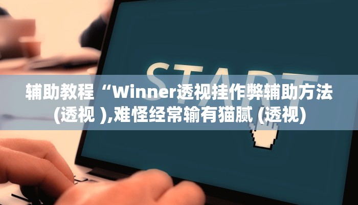 辅助教程“Winner透视挂作弊辅助方法(透视 ),难怪经常输有猫腻 (透视)