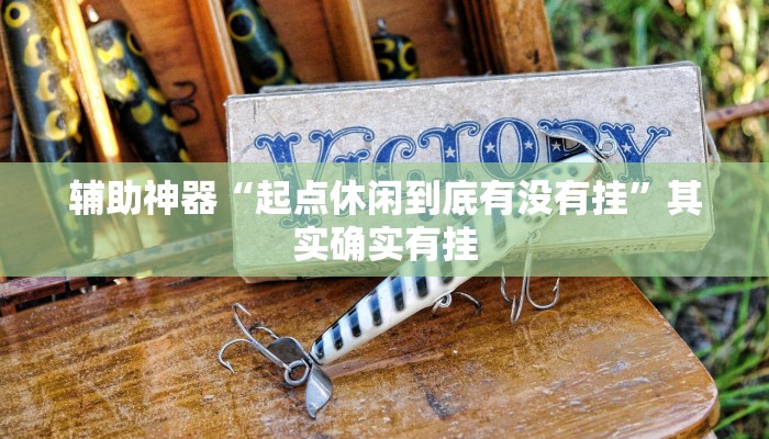 辅助神器“起点休闲到底有没有挂”其实确实有挂