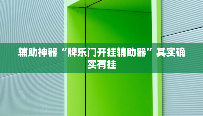 辅助神器“牌乐门开挂辅助器”其实确实有挂