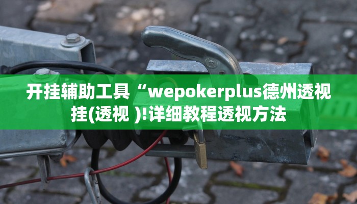 开挂辅助工具“wepokerplus德州透视挂(透视 )!详细教程透视方法