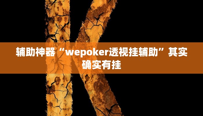 辅助神器“wepoker透视挂辅助”其实确实有挂