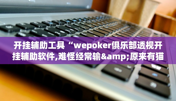 开挂辅助工具“wepoker俱乐部透视开挂辅助软件,难怪经常输&原来有猫腻