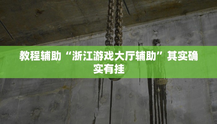 教程辅助“浙江游戏大厅辅助”其实确实有挂