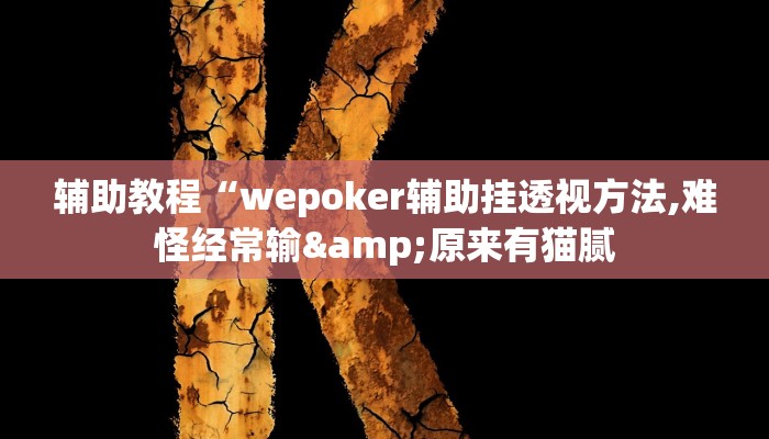 辅助教程“wepoker辅助挂透视方法,难怪经常输&原来有猫腻