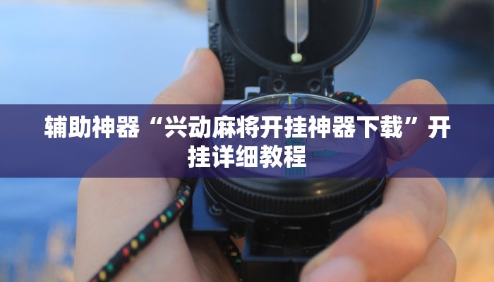 辅助神器“兴动麻将开挂神器下载”开挂详细教程