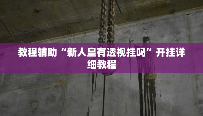 教程辅助“新人皇有透视挂吗”开挂详细教程
