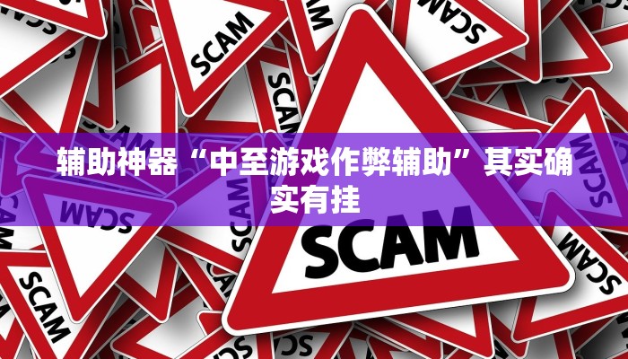 辅助神器“中至游戏作弊辅助”其实确实有挂
