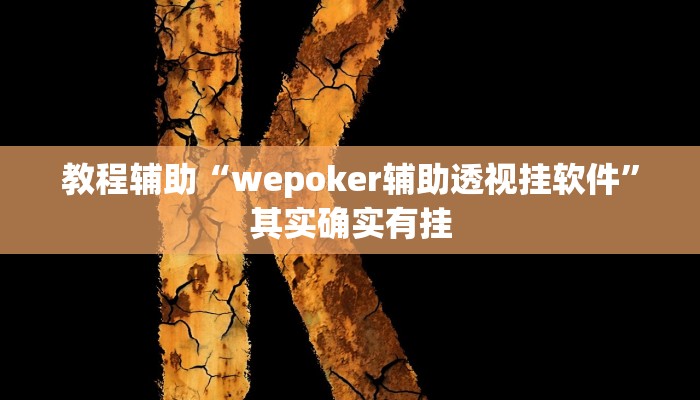 教程辅助“wepoker辅助透视挂软件”其实确实有挂
