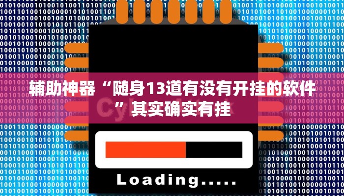 辅助神器“随身13道有没有开挂的软件”其实确实有挂
