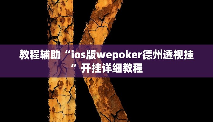 教程辅助“ios版wepoker德州透视挂”开挂详细教程