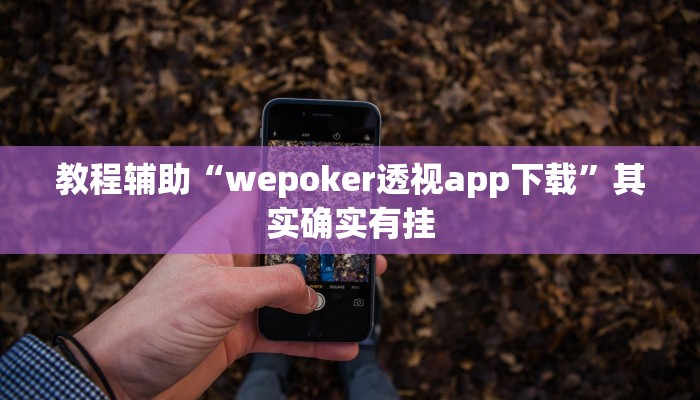 教程辅助“wepoker透视app下载”其实确实有挂