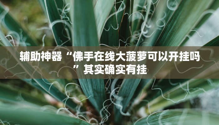 辅助神器“佛手在线大菠萝可以开挂吗”其实确实有挂
