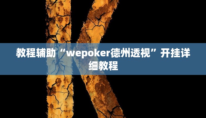 教程辅助“wepoker德州透视”开挂详细教程