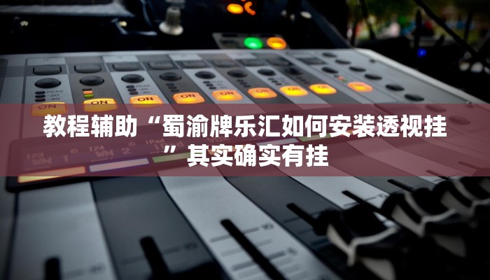 教程辅助“蜀渝牌乐汇如何安装透视挂”其实确实有挂