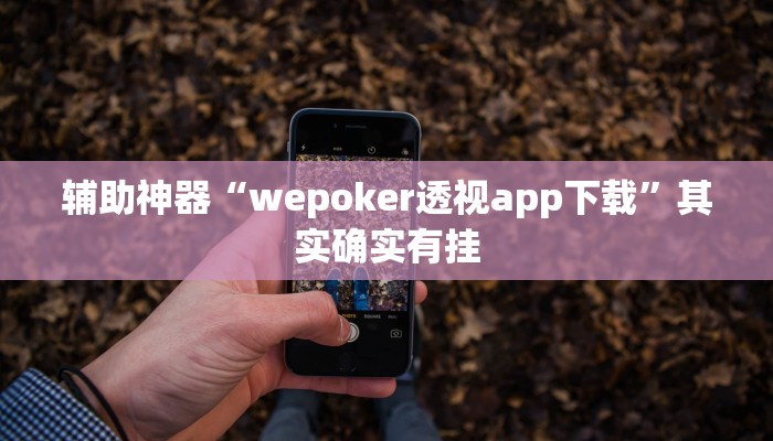 开挂辅助工具“德扑之星app透视挂(透视 )!详细教程透视方法