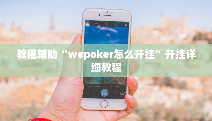 教程辅助“wepoker怎么开挂”开挂详细教程