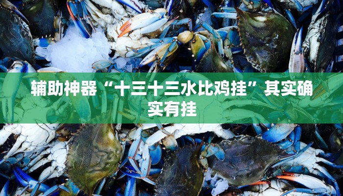 辅助神器“十三十三水比鸡挂”其实确实有挂