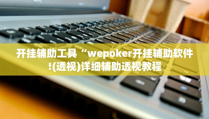 开挂辅助工具“wepoker开挂辅助软件!(透视)详细辅助透视教程
