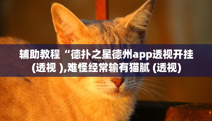 辅助教程“德扑之星德州app透视开挂(透视 ),难怪经常输有猫腻 (透视)