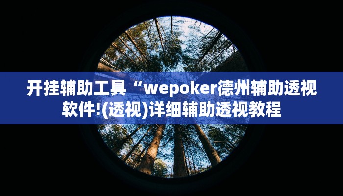 开挂辅助工具“wepoker德州辅助透视软件!(透视)详细辅助透视教程