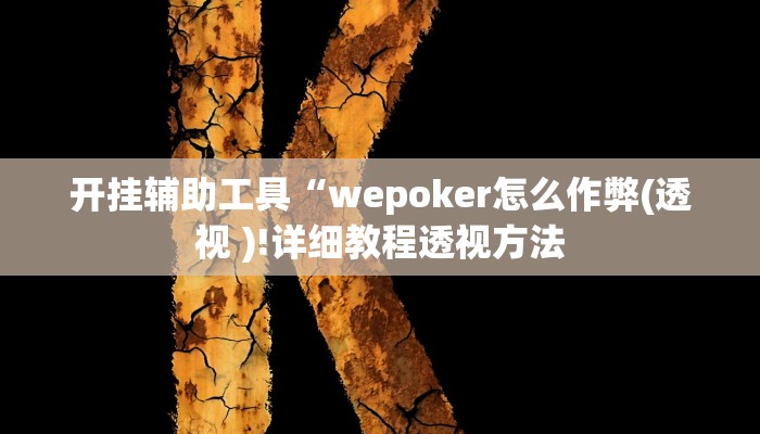开挂辅助工具“wepoker怎么作弊(透视 )!详细教程透视方法