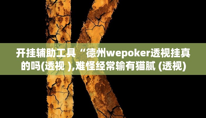 开挂辅助工具“德州wepoker透视挂真的吗(透视 ),难怪经常输有猫腻 (透视)