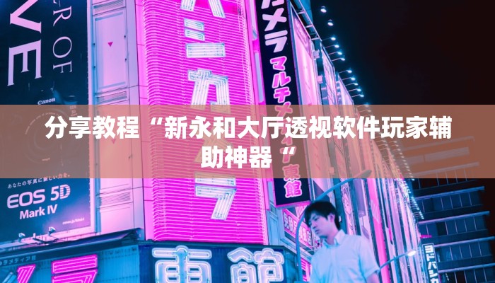 分享教程“新永和大厅透视软件玩家辅助神器“