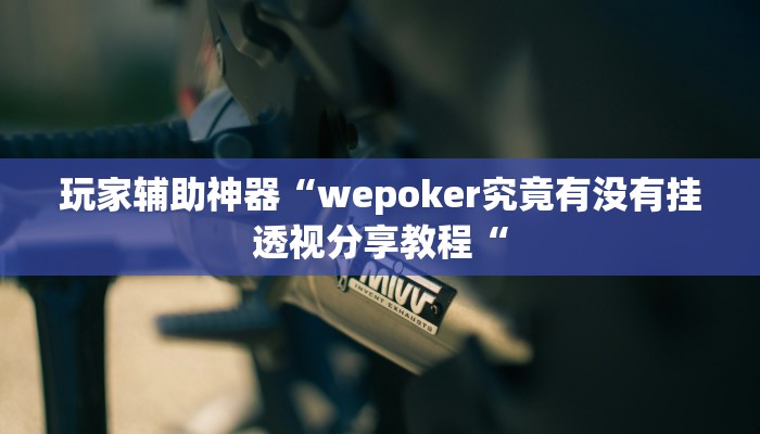 玩家辅助神器“wepoker究竟有没有挂透视分享教程“