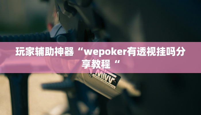 玩家辅助神器“wepoker有透视挂吗分享教程“