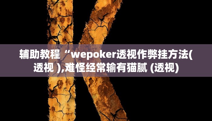 辅助教程“wepoker透视作弊挂方法(透视 ),难怪经常输有猫腻 (透视)